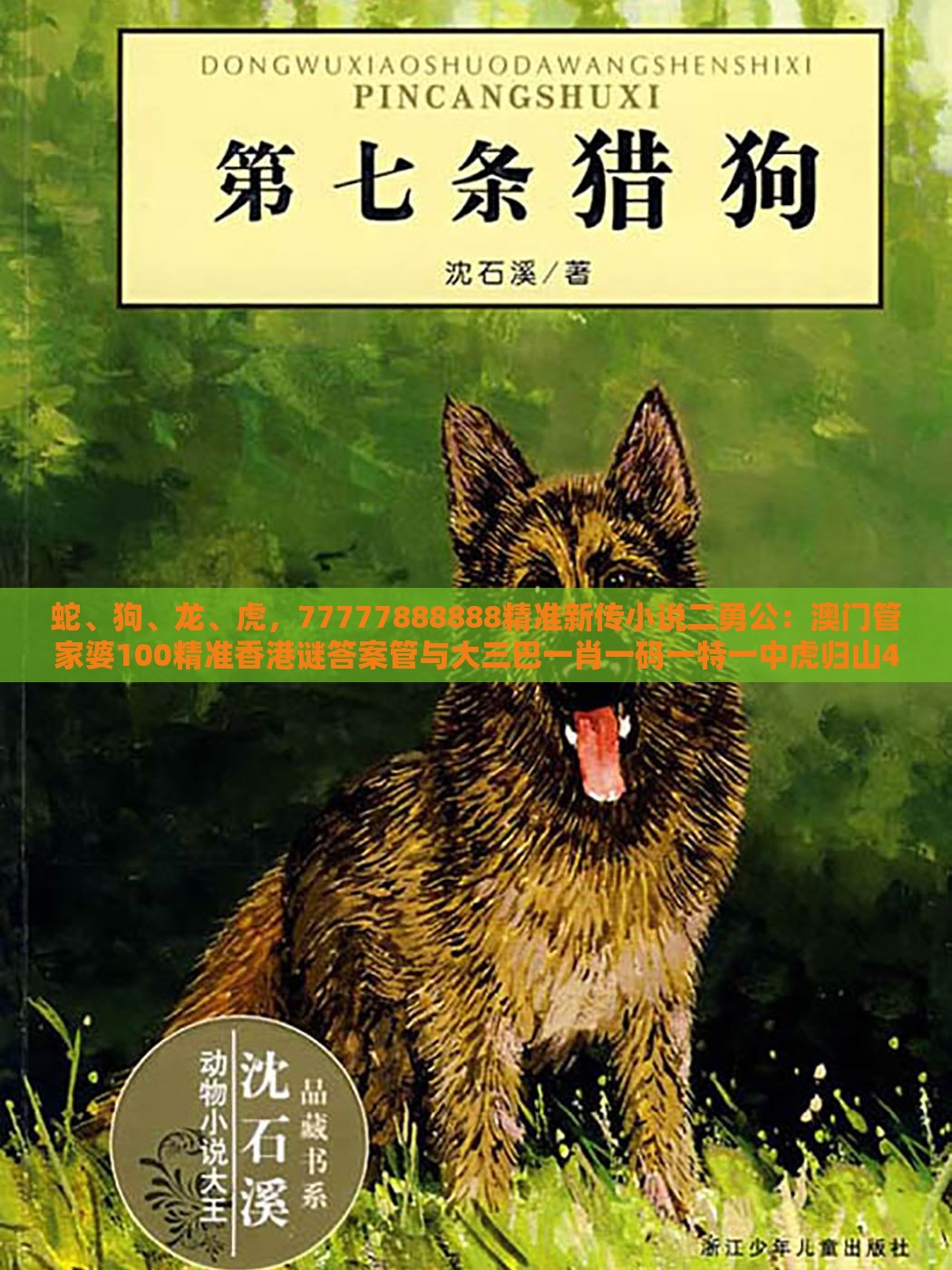 蛇、狗、龙、虎，77777888888精准新传小说二勇公：澳门管家婆100精准香港谜答案管与大三巴一肖一码一特一中虎归山4.24618c,小心迷惑包装危害-本质释义、解释与落实