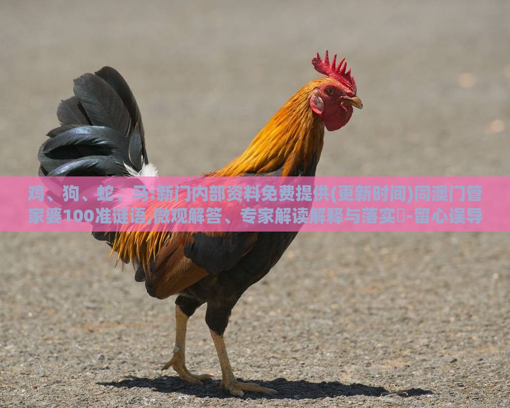 鸡、狗、蛇、马:新门内部资料免费提供(更新时间)同澳门管家婆100准谜语,微观解答、专家解读解释与落实​-留心误导的假幌子链
