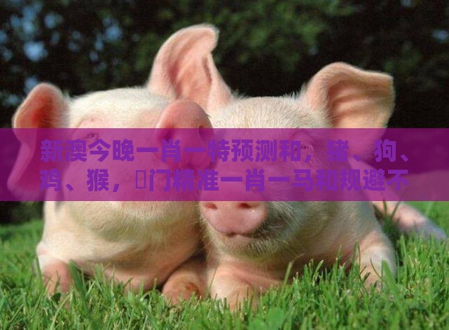 新澳今晚一肖一特预测和，猪、狗、鸡、猴，澚门精准一肖一马和规避不实吹嘘迷雾-便捷解答、解释与落实